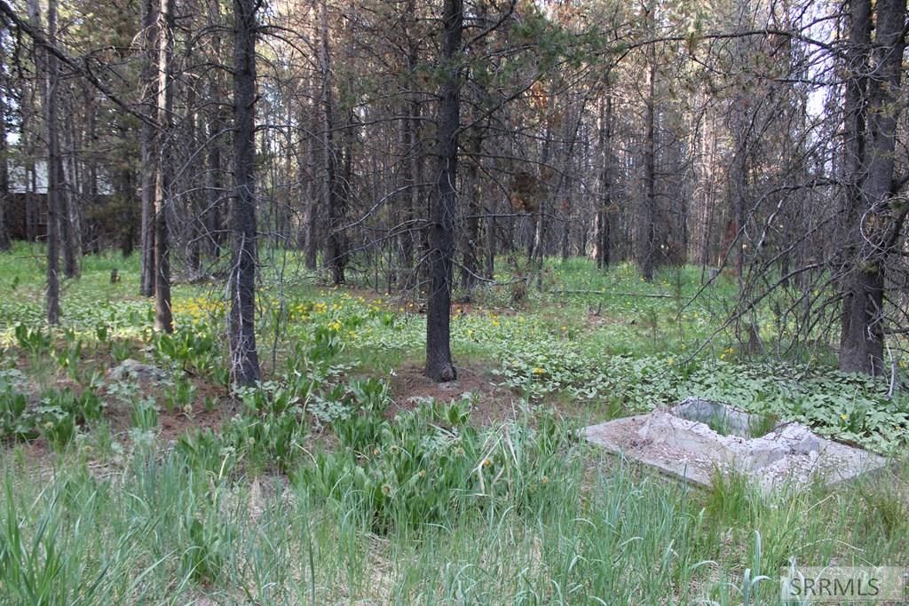 Image 3 of property listing at 3511 Buffalo Lane, Island Park, ID 83429