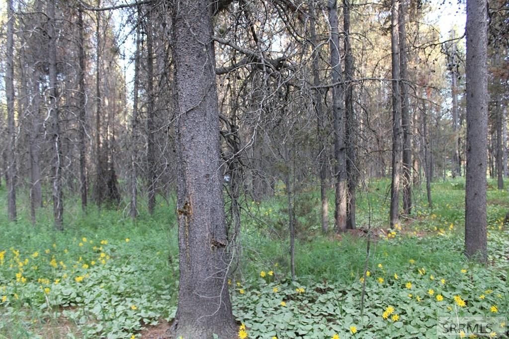 Image 4 of property listing at 3511 Buffalo Lane, Island Park, ID 83429