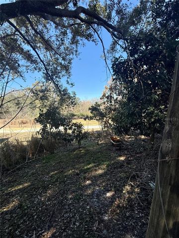 234 TRAILVIEW WAY, Polk City, FL 33868