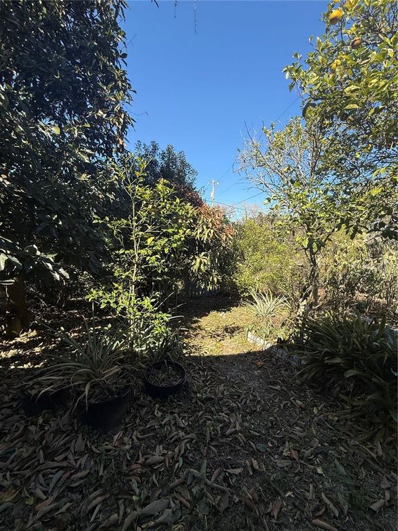 Image 30 of property listing at 234 TRAILVIEW WAY, Polk City, FL 33868