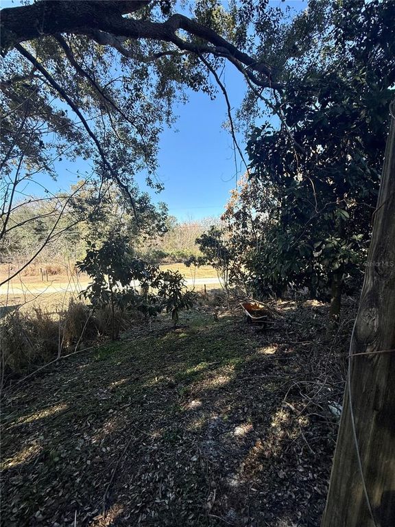 Image 31 of property listing at 234 TRAILVIEW WAY, Polk City, FL 33868