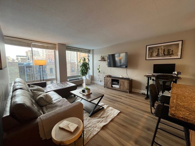 450 W Briar Place 4M, Chicago, IL 60657