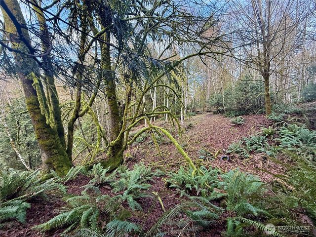 705 E Colonel Wright Road, Shelton, WA 98584