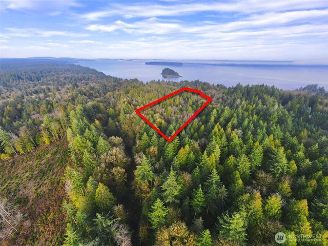 705 E Colonel Wright Road, Shelton, WA 98584