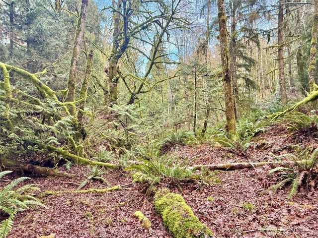 705 E Colonel Wright Road, Shelton, WA 98584