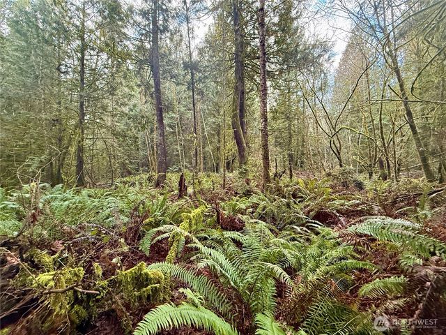 705 E Colonel Wright Road, Shelton, WA 98584