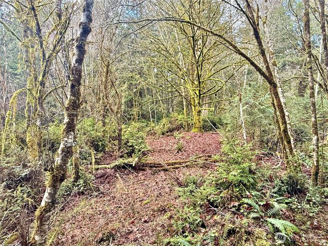 705 E Colonel Wright Road, Shelton, WA 98584