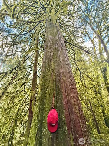 705 E Colonel Wright Road, Shelton, WA 98584