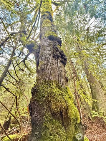 705 E Colonel Wright Road, Shelton, WA 98584