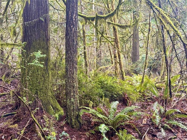 705 E Colonel Wright Road, Shelton, WA 98584