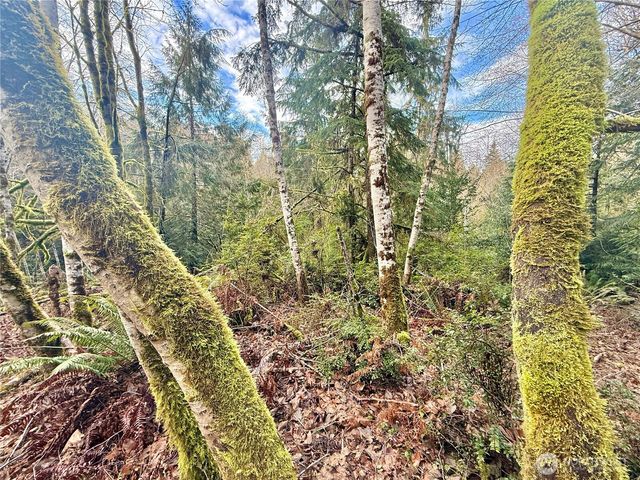 705 E Colonel Wright Road, Shelton, WA 98584