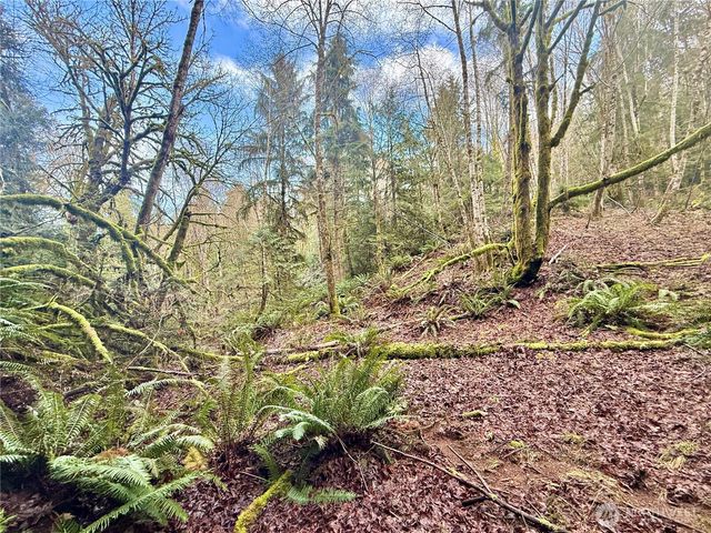 705 E Colonel Wright Road, Shelton, WA 98584