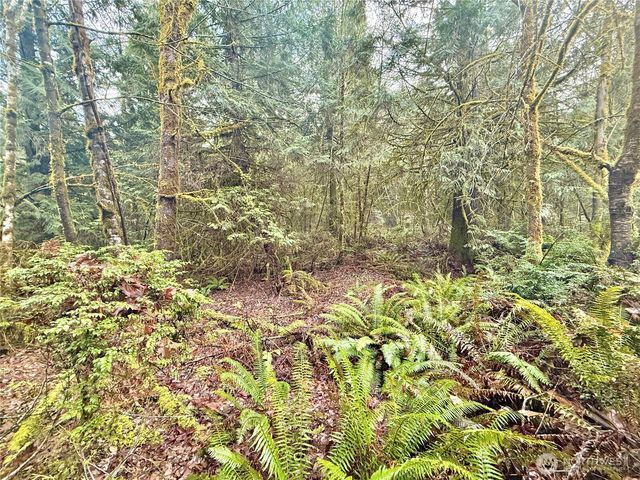 705 E Colonel Wright Road, Shelton, WA 98584