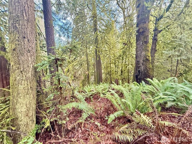 705 E Colonel Wright Road, Shelton, WA 98584