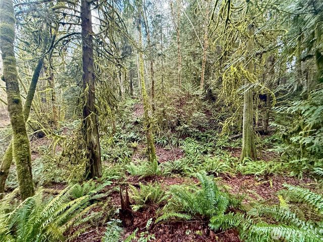 705 E Colonel Wright Road, Shelton, WA 98584