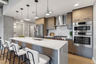 1515 Julian Street 802, Denver, CO 80204