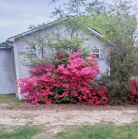 1201 Crescent Street, Summerton, SC 29148