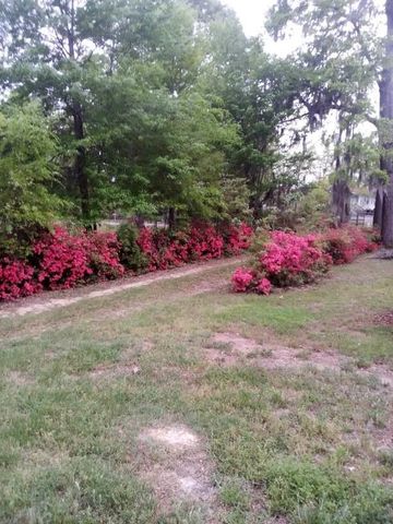 1201 Crescent Street, Summerton, SC 29148