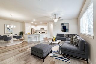 25141 Pacific Wren Drive, Magnolia, TX 77354