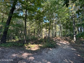 641 Indian Ridge Rd, Blaine, TN 37709