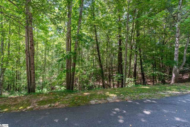 111 Sweetshrub Way, Sunset, SC 29685