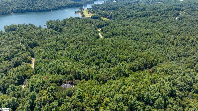 111 Sweetshrub Way, Sunset, SC 29685