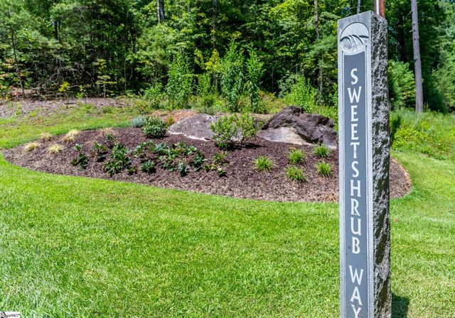 111 Sweetshrub Way, Sunset, SC 29685