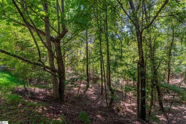 111 Sweetshrub Way, Sunset, SC 29685