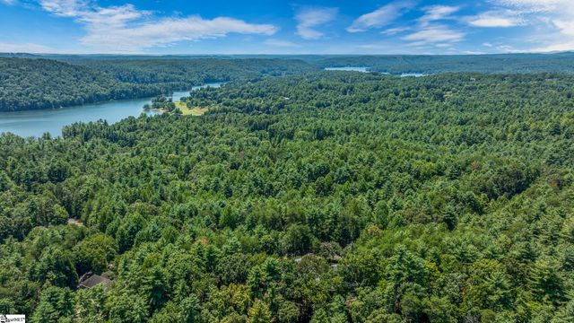 111 Sweetshrub Way, Sunset, SC 29685