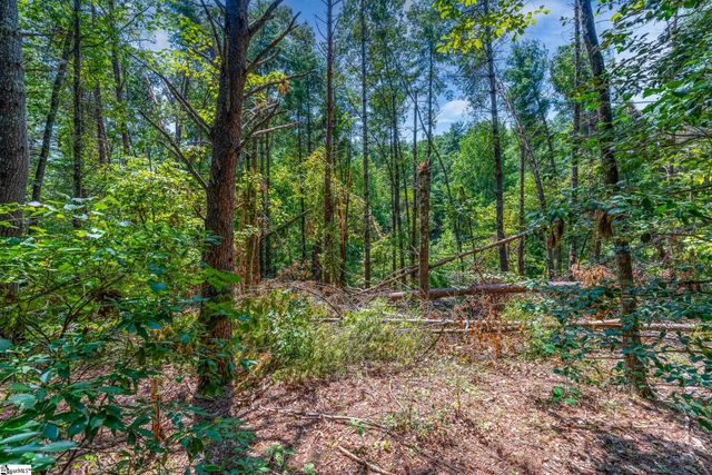 111 Sweetshrub Way, Sunset, SC 29685