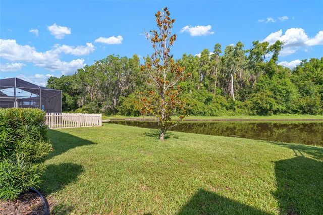 1653 LUDINGTON AVENUE, Wesley Chapel, FL 33543