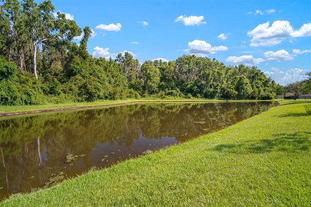 1653 LUDINGTON AVENUE, Wesley Chapel, FL 33543