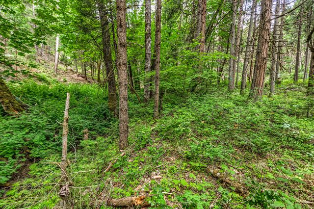 2922 Anderson Creek Road, Talent, OR 97540