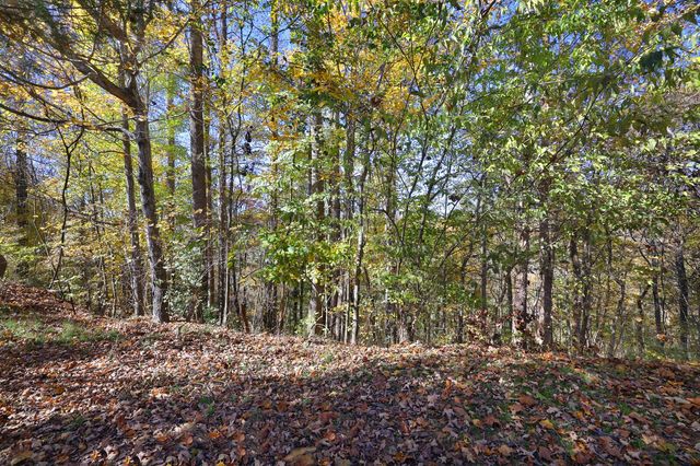 16301B Smithville Hwy, Silver Point, TN 38582