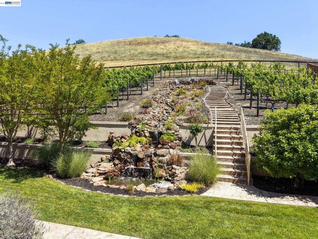 387 Golden Grass Dr, Alamo, CA 94507
