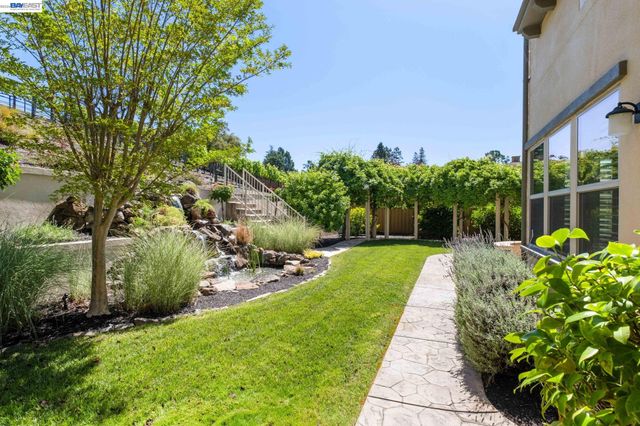 387 Golden Grass Dr, Alamo, CA 94507