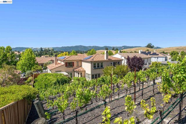 387 Golden Grass Dr, Alamo, CA 94507