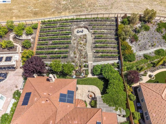 387 Golden Grass Dr, Alamo, CA 94507