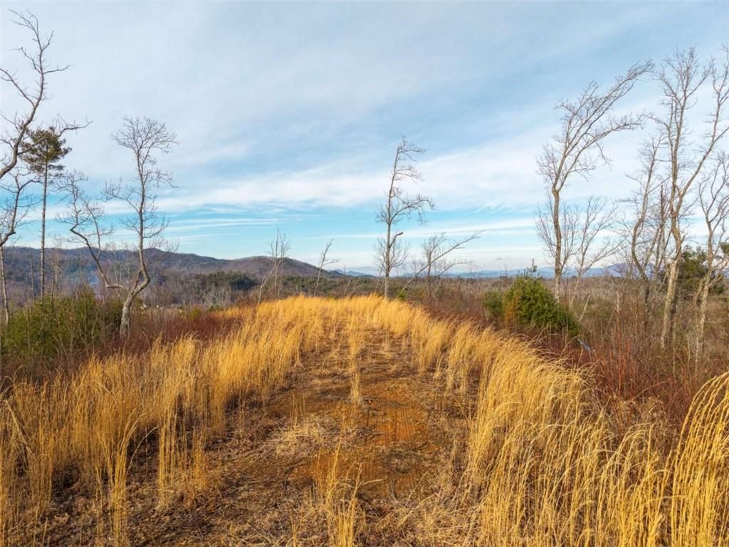 Image 10 of property listing at 156+ Higdon Creek Road, Blue Ridge, GA 30513