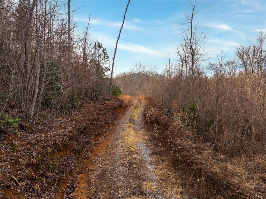 Image 11 of property listing at 156+ Higdon Creek Road, Blue Ridge, GA 30513