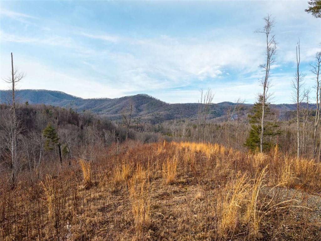 Image 12 of property listing at 156+ Higdon Creek Road, Blue Ridge, GA 30513