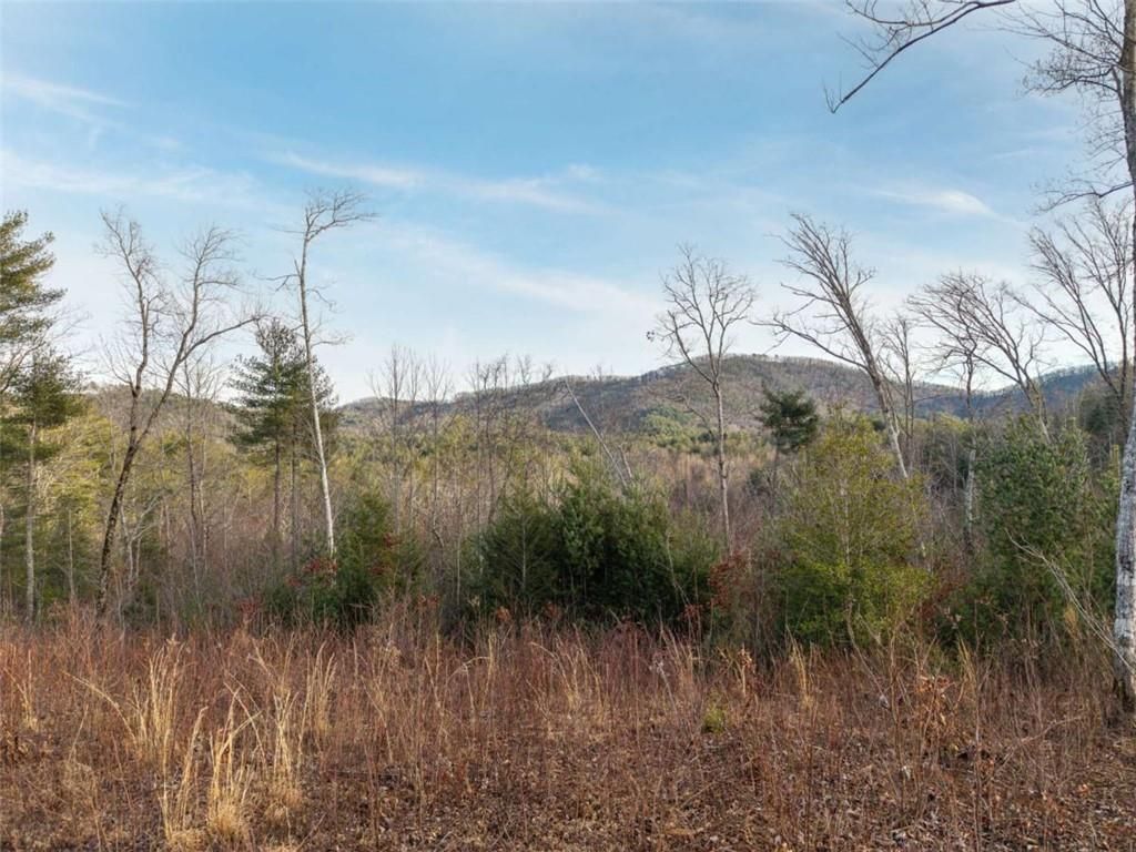 Image 22 of property listing at 156+ Higdon Creek Road, Blue Ridge, GA 30513