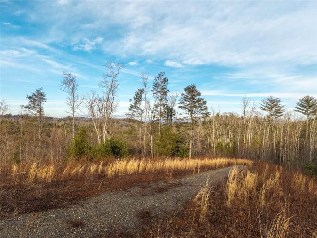 Image 23 of property listing at 156+ Higdon Creek Road, Blue Ridge, GA 30513
