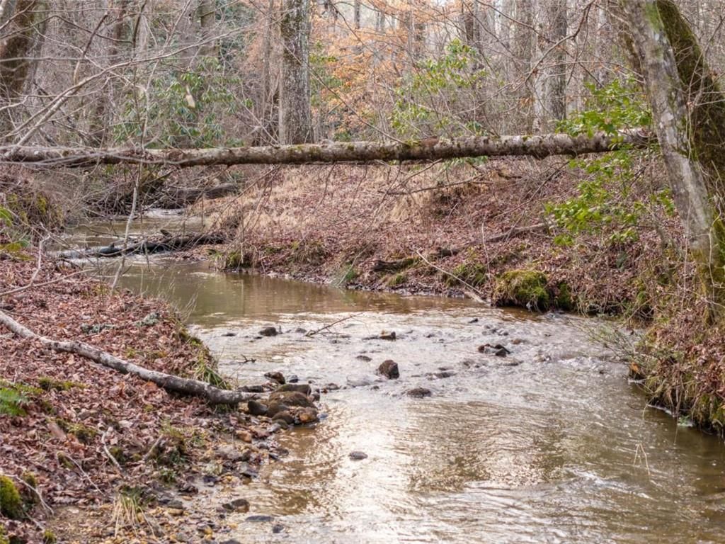 Image 24 of property listing at 156+ Higdon Creek Road, Blue Ridge, GA 30513