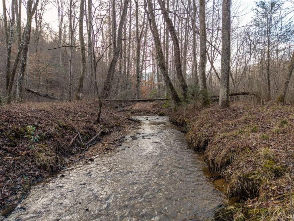Image 25 of property listing at 156+ Higdon Creek Road, Blue Ridge, GA 30513