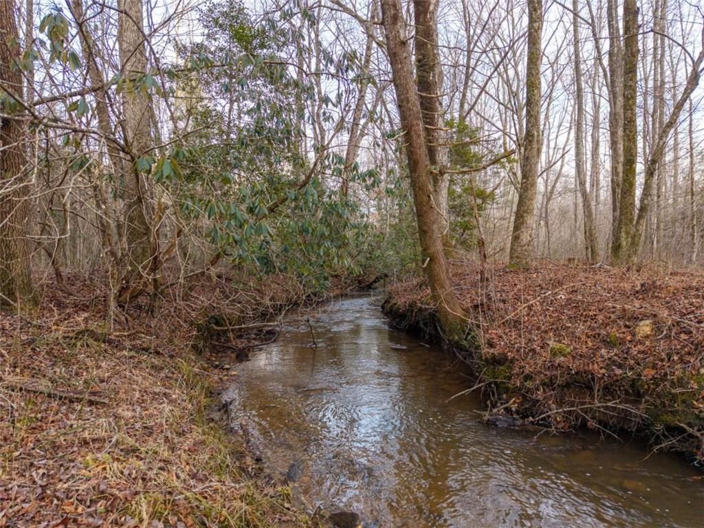 Image 26 of property listing at 156+ Higdon Creek Road, Blue Ridge, GA 30513