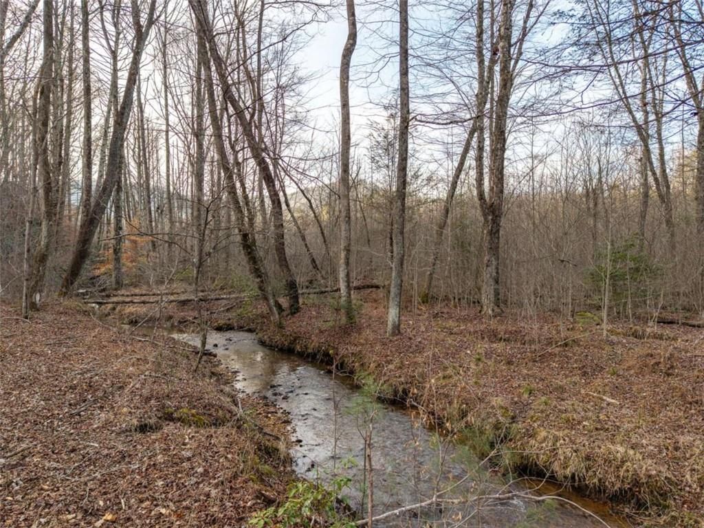 Image 27 of property listing at 156+ Higdon Creek Road, Blue Ridge, GA 30513