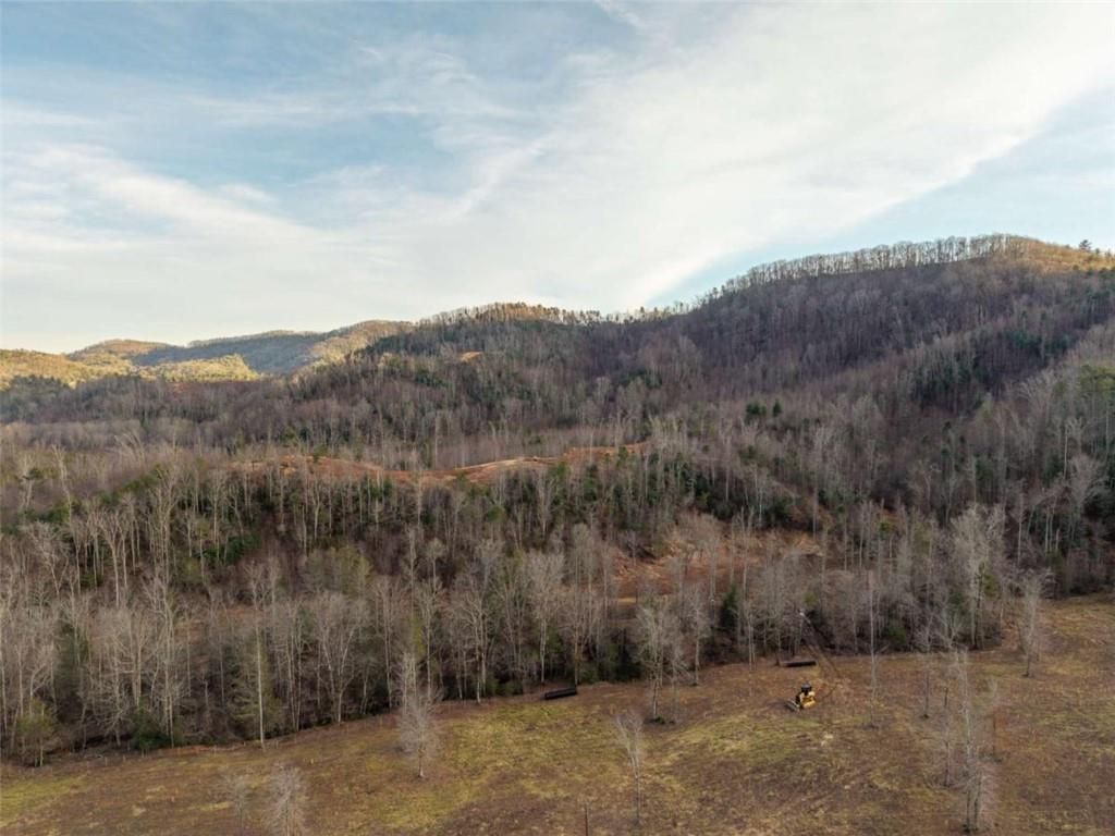 Image 28 of property listing at 156+ Higdon Creek Road, Blue Ridge, GA 30513