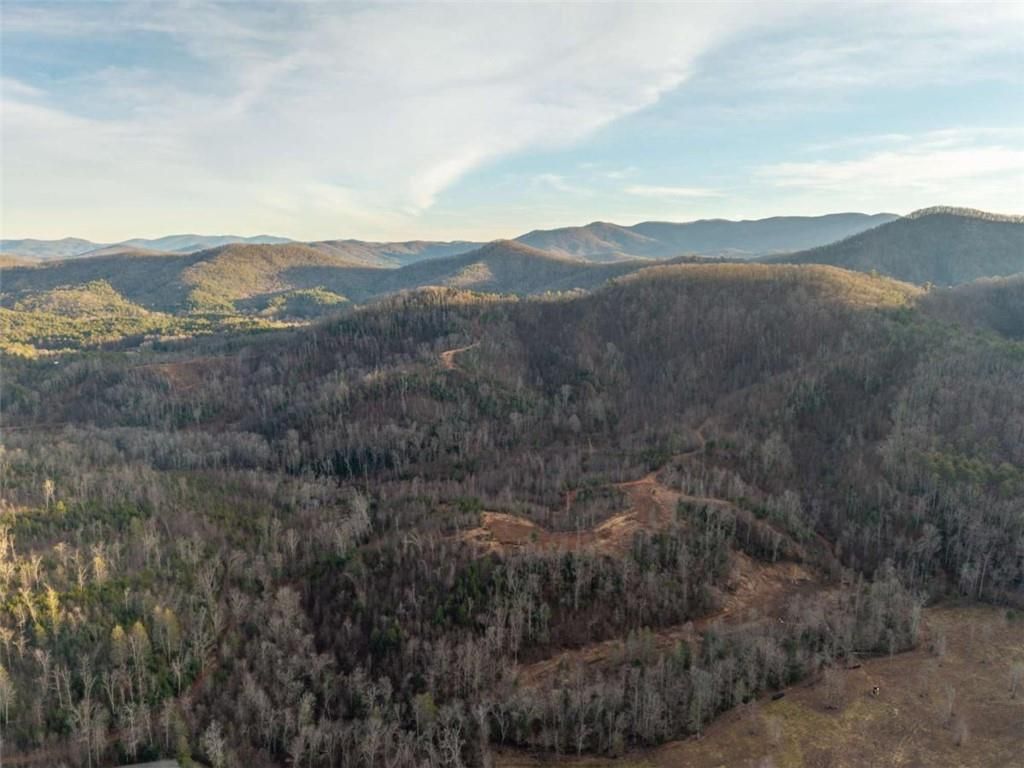 Image 29 of property listing at 156+ Higdon Creek Road, Blue Ridge, GA 30513