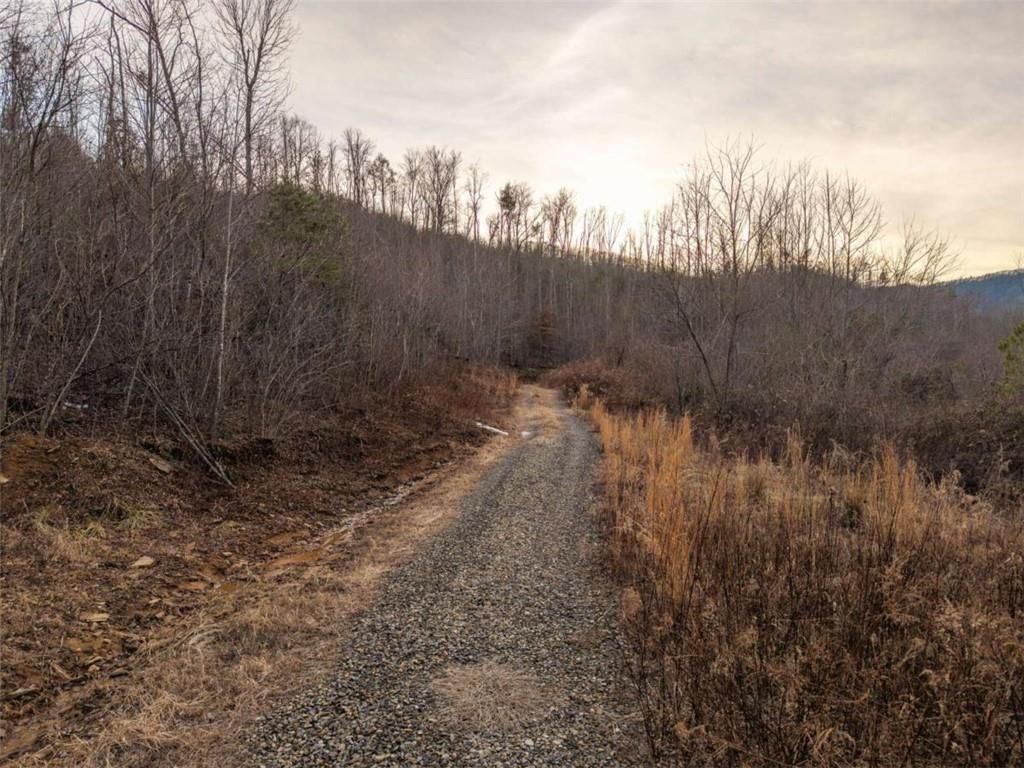 Image 35 of property listing at 156+ Higdon Creek Road, Blue Ridge, GA 30513